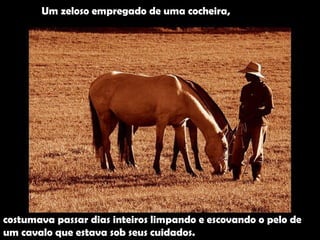 Um zeloso empregado de uma cocheira, costumava passar dias inteiros limpando e escovando o pelo de  um cavalo que estava sob seus cuidados. 