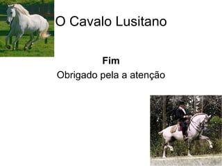 O Cavalo Lusitano Fim Obrigado pela a atenção 