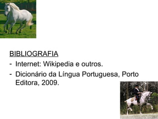 BIBLIOGRAFIA Internet: Wikipedia e outros. Dicionário da Língua Portuguesa, Porto Editora, 2009. 