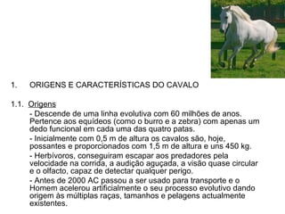 1. ORIGENS E CARACTERÍSTICAS DO CAVALO 1.1.  Origens - Descende de uma linha evolutiva com 60 milhões de anos. Pertence aos equídeos (como o burro e a zebra) com apenas um dedo funcional em cada uma das quatro patas. - Inicialmente com 0,5 m de altura os cavalos são, hoje, possantes e proporcionados com 1,5 m de altura e uns 450 kg. - Herbívoros, conseguiram escapar aos predadores pela velocidade na corrida, a audição aguçada, a visão quase circular e o olfacto, capaz de detectar qualquer perigo. - Antes de 2000 AC passou a ser usado para transporte e o Homem acelerou artificialmente o seu processo evolutivo dando origem às múltiplas raças, tamanhos e pelagens actualmente existentes. 