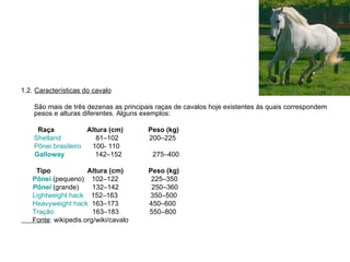 1.2.  Características do cavalo São mais de três dezenas as principais raças de cavalos hoje existentes às quais correspondem pesos e alturas diferentes. Alguns exemplos:   Raça  Altura (cm)  Peso (kg) Shetland   81–102  200–225 Pônei  brasileiro   100- 110  Galloway   142–152  275–400 Tipo  Altura (cm)  Peso (kg) Pônei  (pequeno)  102–122  225–350  Pônei  (grande)  132–142  250–360 Lightweight   hack   152–163  350–500 Heavyweight   hack   163–173  450–600 Tração  163–183  550–800 Fonte : wikipedis.org/wiki/cavalo 
