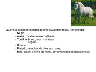Quanto à  pelagem  há cerca de uma dúzia diferentes. Por exemplo: - Negro. - Alazão: castanho-avermelhado. - Tordilho: branco com manchas    negras. - Branco. - Pintado: manchas de diversas cores.  - Baio: cauda e crina prateada, cor amarelada ou acastanhada. . 