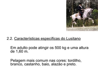 .0 2.2.  Características específicas do Lusitano Em adulto pode atingir os 500 kg e uma altura de 1,60 m. Pelagem mais comum nas cores: tordilho, branco, castanho, baio, alazão e preto. 