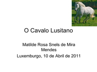 O Cavalo Lusitano Matilde Rosa Snels de Mira Mendes Luxemburgo, 10 de Abril de 2011 