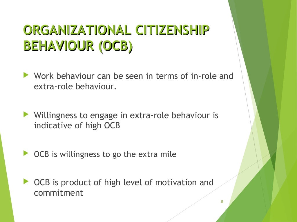 organizational citizenship behavior research paper