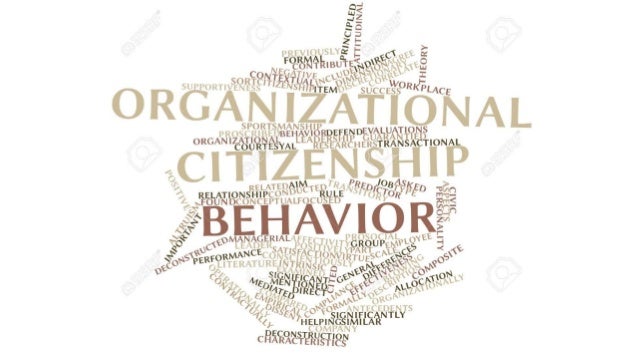 comparisons and contrasts between organizational organizational citizenship behavior