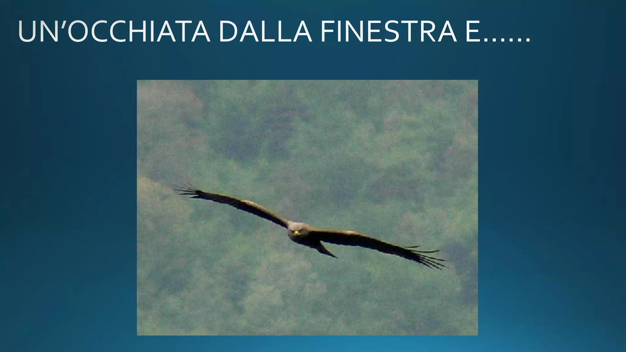 Dinamometro ad alta precisione serie FR da 10 N