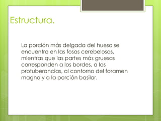 Estructura.
La porción más delgada del hueso se
encuentra en las fosas cerebelosas,
mientras que las partes más gruesas
corresponden a los bordes, a las
protuberancias, al contorno del foramen
magno y a la porción basilar.
