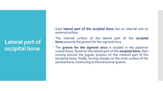 Lateral part of
occipital bone
 Each lateral part of the occipital bone has an internal and an
external surface.
 The internal surface of the lateral part of the occipital
bone presents the groove for the sigmoid sinus.
 The groove for the sigmoid sinus is located in the posterior
cranial fossa, found on the lateral part of the occipital bone, then
curving around the jugular process on the mastoid part of the
temporal bone, finally, turning sharply on the inner surface of the
parietal bone, continuing as the transverse groove.
 