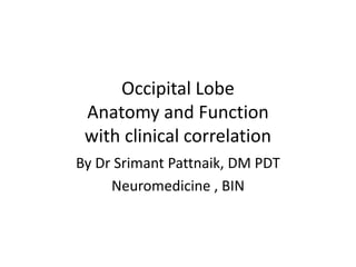 Occipital Lobe
Anatomy and Function
with clinical correlation
By Dr Srimant Pattnaik, DM PDT
Neuromedicine , BIN
 