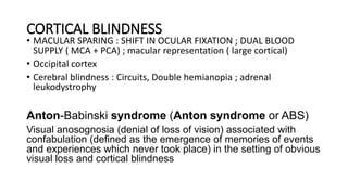 CORTICAL BLINDNESS
• MACULAR SPARING : SHIFT IN OCULAR FIXATION ; DUAL BLOOD
SUPPLY ( MCA + PCA) ; macular representation ( large cortical)
• Occipital cortex
• Cerebral blindness : Circuits, Double hemianopia ; adrenal
leukodystrophy
Anton-Babinski syndrome (Anton syndrome or ABS)
Visual anosognosia (denial of loss of vision) associated with
confabulation (defined as the emergence of memories of events
and experiences which never took place) in the setting of obvious
visual loss and cortical blindness
 