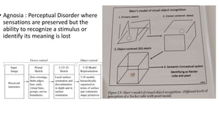 • Agnosia : Perceptual Disorder where
sensations are preserved but the
ability to recognize a stimulus or
identify its meaning is lost
 