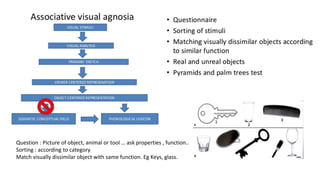 Question : Picture of object, animal or tool … ask properties , function..
Sorting : according to category
Match visually dissimilar object with same function. Eg Keys, glass.
 