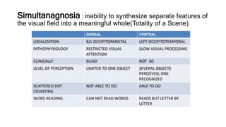 Simultanagnosia : inability to synthesize separate features of
the visual field into a meaningful whole(Totality of a Scene)
 