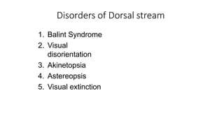 Disorders of Dorsal stream
1. Balint Syndrome
2. Visual
disorientation
3. Akinetopsia
4. Astereopsis
5. Visual extinction
 