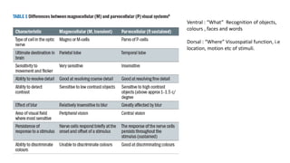 Ventral : “What” Recognition of objects,
colours , faces and words
Dorsal : “Where” Visuospatial function, i.e
location, motion etc of stimuli.
 