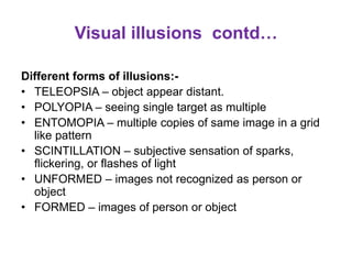 Occipital lobe 2 syndromes nwnw ppt | PPTX