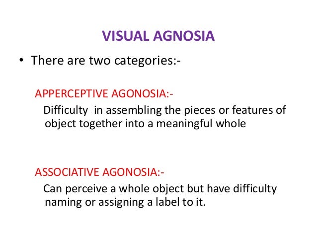 Occipital lobe 2 syndromes nwnw ppt Occipital lobe 2 syndromes nwnw ppt