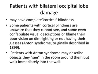 Patients with bilateral occipital lobe
damage
• may have complete“cortical” blindness.
• Some patients with cortical blindness are
unaware that they cannot see, and some even
confabulate visual descriptions or blame their
poor vision on dim lighting or not having their
glasses (Anton syndrome, originally described in
1899).
• Patients with Anton syndrome may describe
objects they “see” in the room around them but
walk immediately into the wall.
 