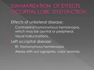 Occipital lobe ppt