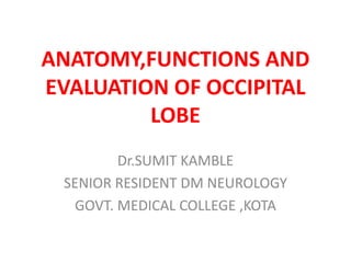 ANATOMY,FUNCTIONS AND
EVALUATION OF OCCIPITAL
LOBE
Dr.SUMIT KAMBLE
SENIOR RESIDENT DM NEUROLOGY
GOVT. MEDICAL COLLEGE ,KOTA
 