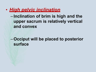 • High pelvic inclination
–Inclination of brim is high and the
upper sacrum is relatively vertical
and convex
–Occiput will be placed to posterior
surface
 