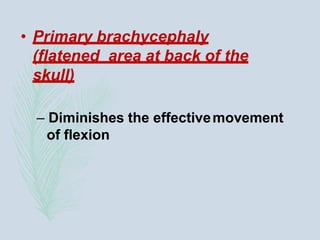 • Primary brachycephaly
(flatened area at back of the
skull)
– Diminishes the effectivemovement
of flexion
 