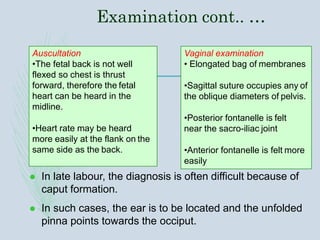 Examination cont.. …
 In late labour, the diagnosis is often difficult because of
caput formation.
 In such cases, the ear is to be located and the unfolded
pinna points towards the occiput.
Auscultation
•The fetal back is not well
flexed so chest is thrust
forward, therefore the fetal
heart can be heard in the
midline.
•Heart rate may be heard
more easily at the flank on the
same side as the back.
Vaginal examination
• Elongated bag of membranes
•Sagittal suture occupies any of
the oblique diameters of pelvis.
•Posterior fontanelle is felt
near the sacro-iliac joint
•Anterior fontanelle is felt more
easily
 