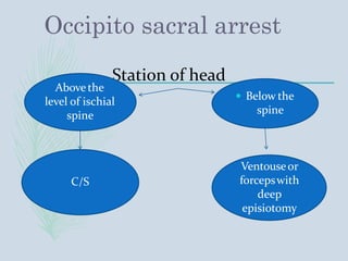 Occipito sacral arrest
 Below the
spine
Station of head
Abovethe
level of ischial
spine
C/S
Ventouseor
forcepswith
deep
episiotomy
 