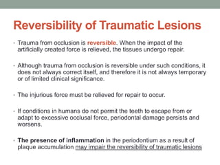 Reversibility of Traumatic Lesions
• Trauma from occlusion is reversible. When the impact of the
artificially created force is relieved, the tissues undergo repair.
• Although trauma from occlusion is reversible under such conditions, it
does not always correct itself, and therefore it is not always temporary
or of limited clinical significance.
• The injurious force must be relieved for repair to occur.
• If conditions in humans do not permit the teeth to escape from or
adapt to excessive occlusal force, periodontal damage persists and
worsens.
• The presence of inflammation in the periodontium as a result of
plaque accumulation may impair the reversibility of traumatic lesions
 