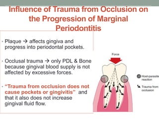 Influence of Trauma from Occlusion on
the Progression of Marginal
Periodontitis
• Plaque  affects gingiva and
progress into periodontal pockets.
• Occlusal trauma  only PDL & Bone
because gingival blood supply is not
affected by excessive forces.
• “Trauma from occlusion does not
cause pockets or gingivitis” and
that it also does not increase
gingival fluid flow.
 