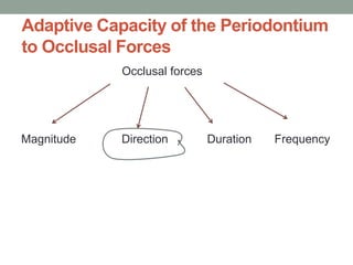 Adaptive Capacity of the Periodontium
to Occlusal Forces
Occlusal forces
Magnitude Direction Duration Frequency
 