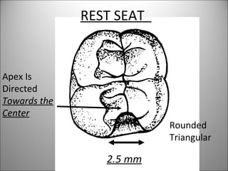 REST SEAT
Apex Is
Directed
Towards the
Center
Rounded
Triangular
m
2.5 mm
 