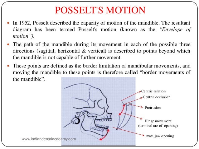 Occlusion Occlusion