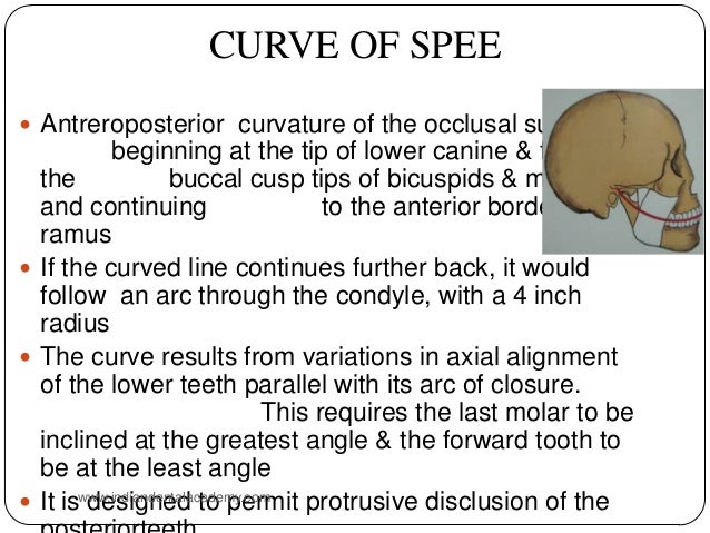 curve of spee