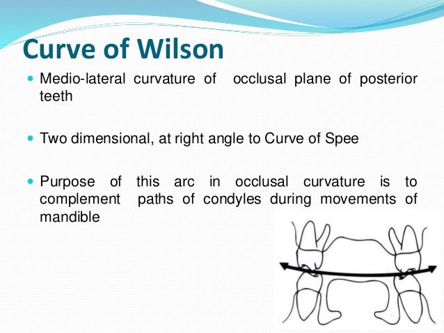 curve of spee