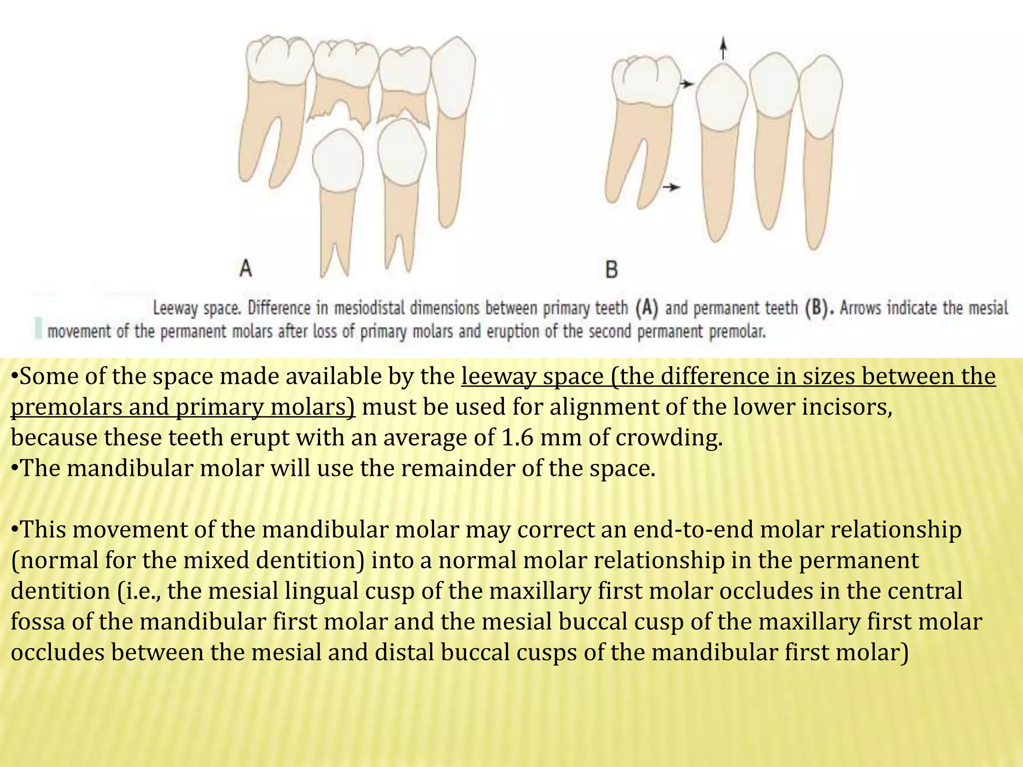 Occlusion | PPTX