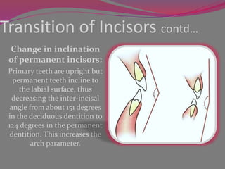 Teeth Incliners Occlusion | PPTX