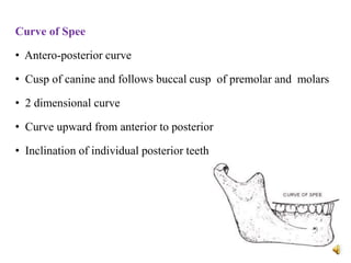 Curve of Spee
• Antero-posterior curve
• Cusp of canine and follows buccal cusp of premolar and molars
• 2 dimensional curve
• Curve upward from anterior to posterior
• Inclination of individual posterior teeth
 