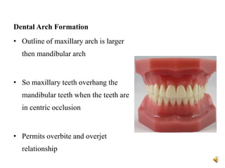 Dental Arch Formation
• Outline of maxillary arch is larger
then mandibular arch
• So maxillary teeth overhang the
mandibular teeth when the teeth are
in centric occlusion
• Permits overbite and overjet
relationship
 