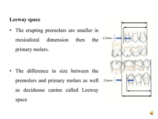 Leeway space
• The erupting premolars are smaller in
mesiodistal dimension then the
primary molars.
• The difference in size between the
premolars and primary molars as well
as deciduous canine called Leeway
space
 