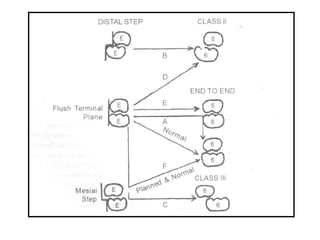 Occclusion Training occlusion 1.ppt............................... | PPT