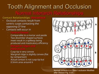 Comprehensive Study of Dental Occlusion and Mandibular Function | PPT