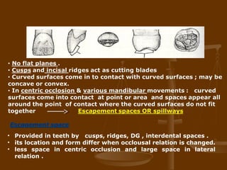 Dental Occlusion | PPT