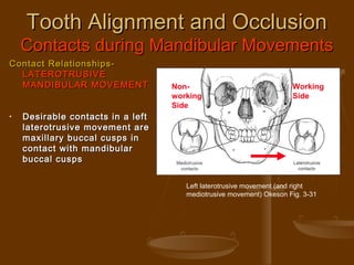 Dental Occlusion | PPT
