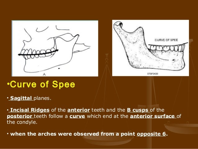 Curve Of Spee And Wilson