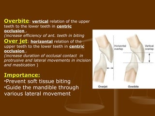 occlusion11-160429094720 (1).ppt dental anatomy | PPT