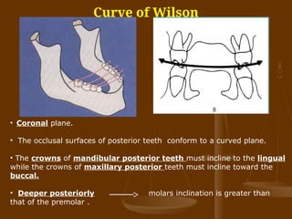 Teeth Incliners occlusion11-160429094720 (1).ppt dental anatomy | PPT