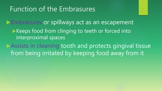 Function of the Embrasures
Embrasures or spillways act as an escapement
Keeps food from clinging to teeth or forced into
interproximal spaces
Assists in cleaning tooth and protects gingival tissue
from being irritated by keeping food away from it
 