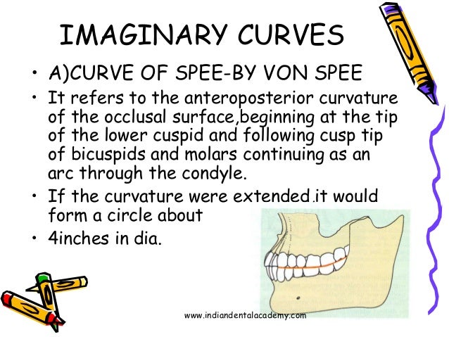 curve of spee